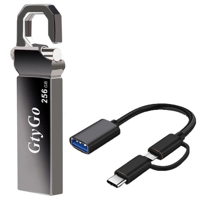 GtyGo Clé USB OTG 256 Go USB3.0 Adaptateur Type C 3 unités dans 1 ensemble